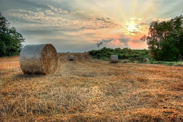 농업경영체 등록대상, 등록신청, 등록서류