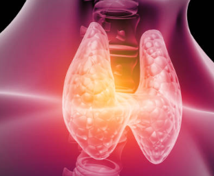 갑상선 기능 저하증 증상