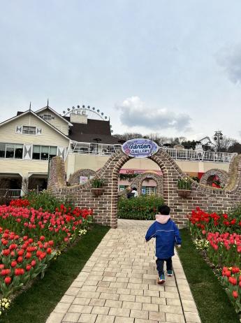 에버랜드 자유이용권 할인 최신 정보