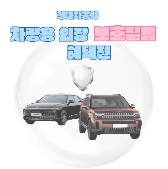현대자동차-차량용-외장-보호필름 혜택전-이벤트