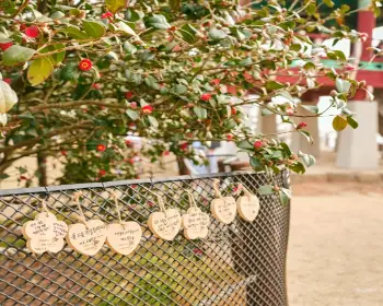 서천 동백꽃 주꾸미 축제_14
