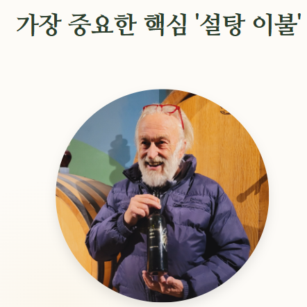 매실청 담그는법