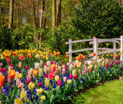 대상포진 예방접종 백신종류 비용