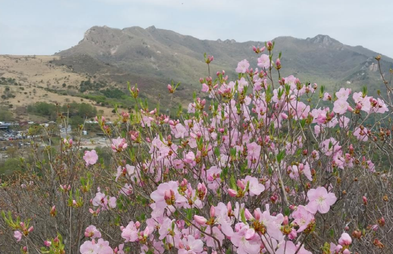 황매산 등산코스