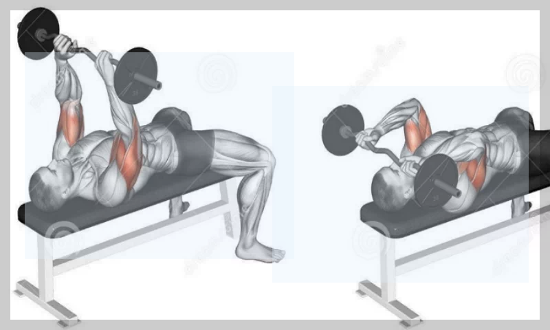 상완근 운동 트라이셉스 익스텐션