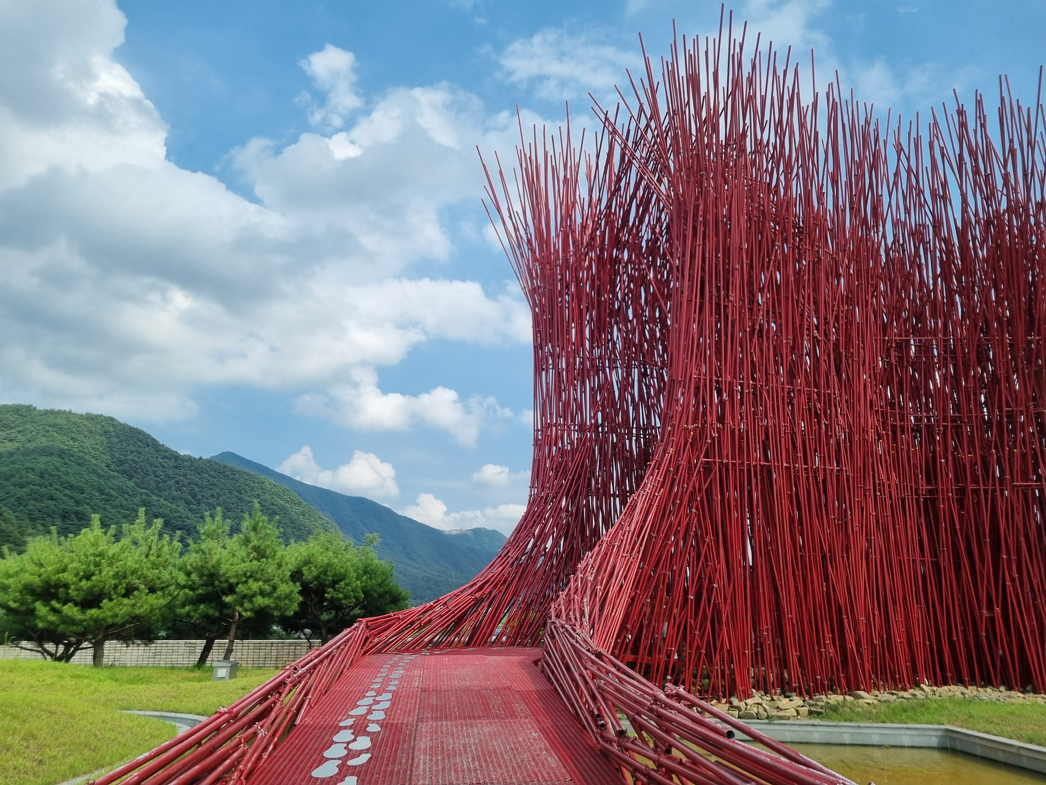 젊은달 와이파크