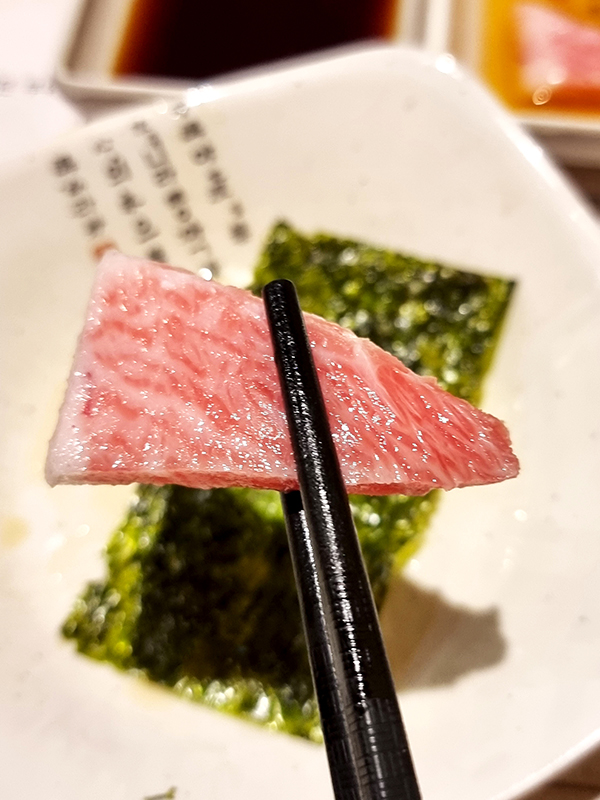 목동 참치광장