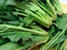 항암치료 중 좋은 음식