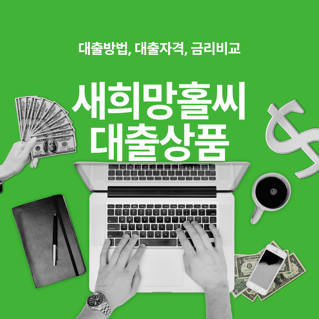 새희망홀씨 대출상품