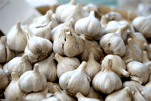 대장에 좋은 음식20