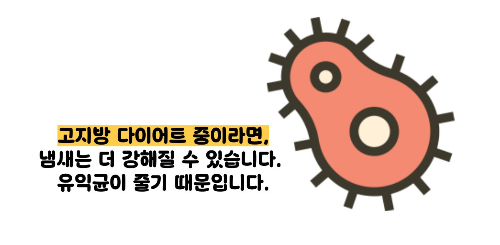 방귀 냄새가 심한 이유