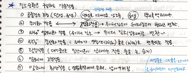 질소순환을 구성하는 각종작용