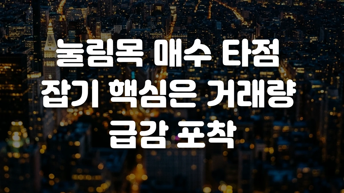 눌림목 매수 타점 잡기 핵심은 거래량 급감 포착