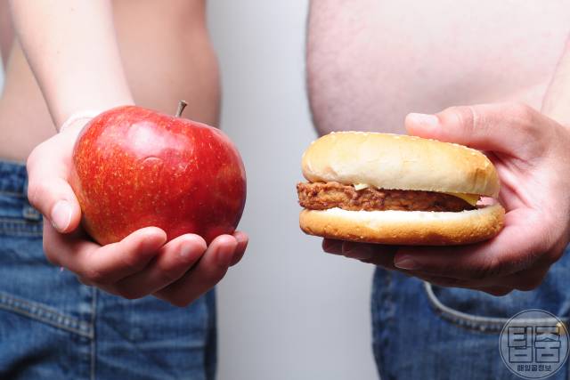 올챙이뱃살 빼는법 올챙이배 빼기 내장지방