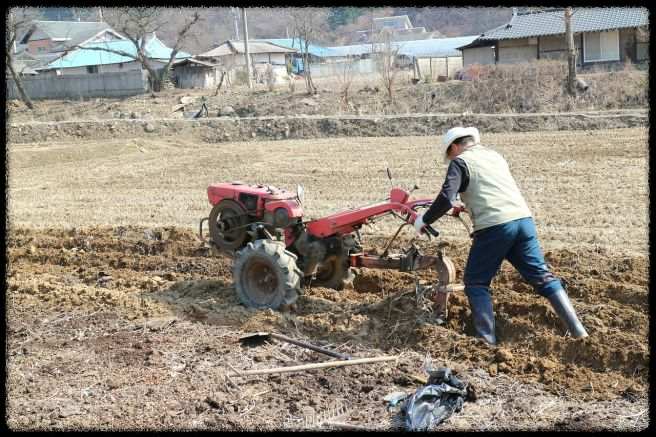 2025년 직불금 신청 방법 완벽 가이드! 신청기간부터 자격까지 총정리