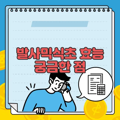 발사믹식초 효능 궁금한 점, 풀어보죠