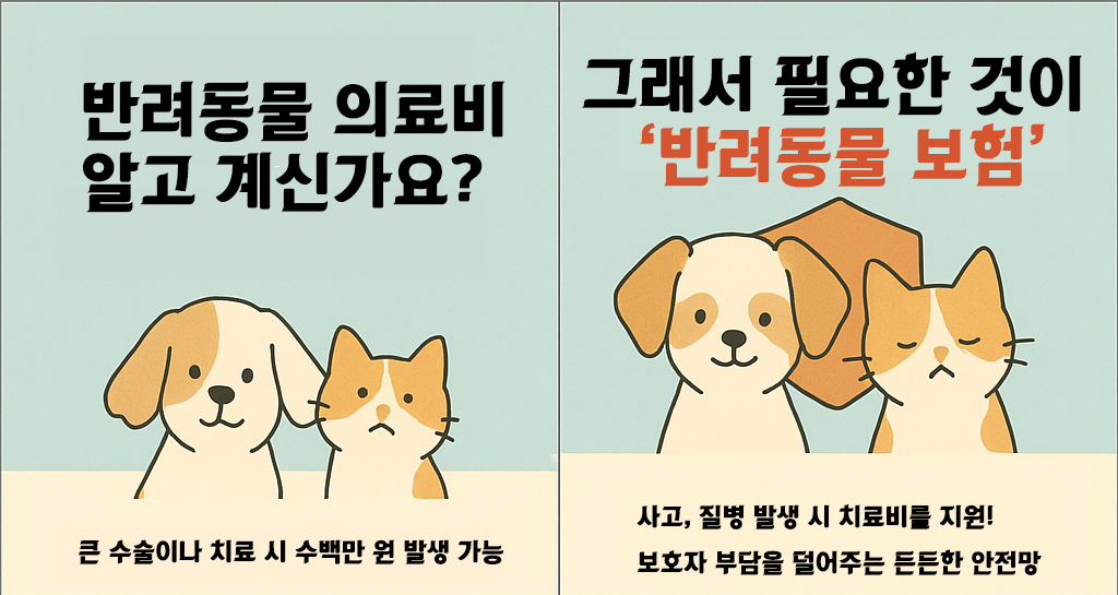 반려동물 보험의 중요성 안내