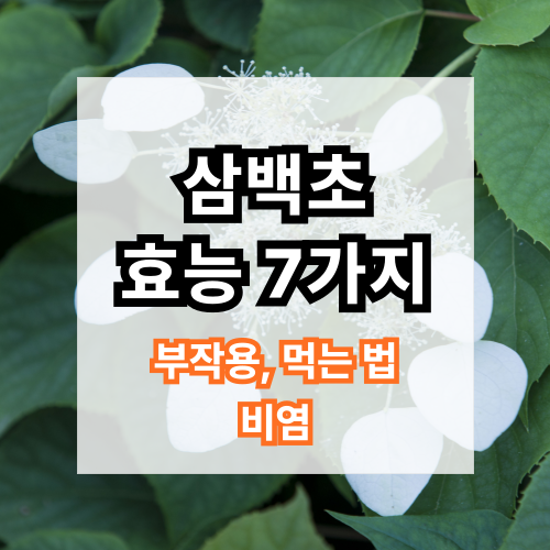 변비에좋은한약