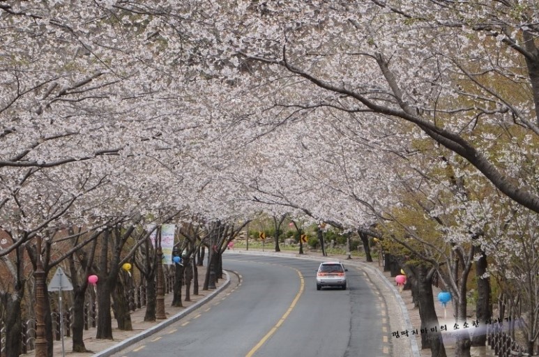 대구팔공산트레킹사진