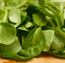 시금치 효능 부작용 고르는법 칼로리