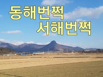 동해번쩍 서해번쩍 맞춤법과 올바른 사용_2