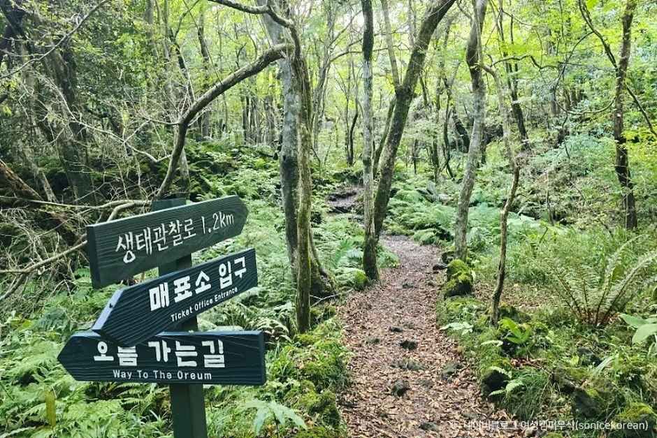 교래자연휴양림