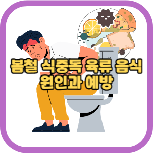 봄철 식중독 육류 음식 원인과 예방