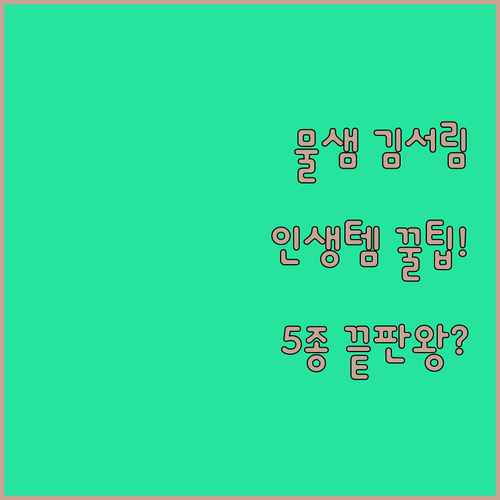 스노쿨링 마스크 5종 비교 물샘 김서..