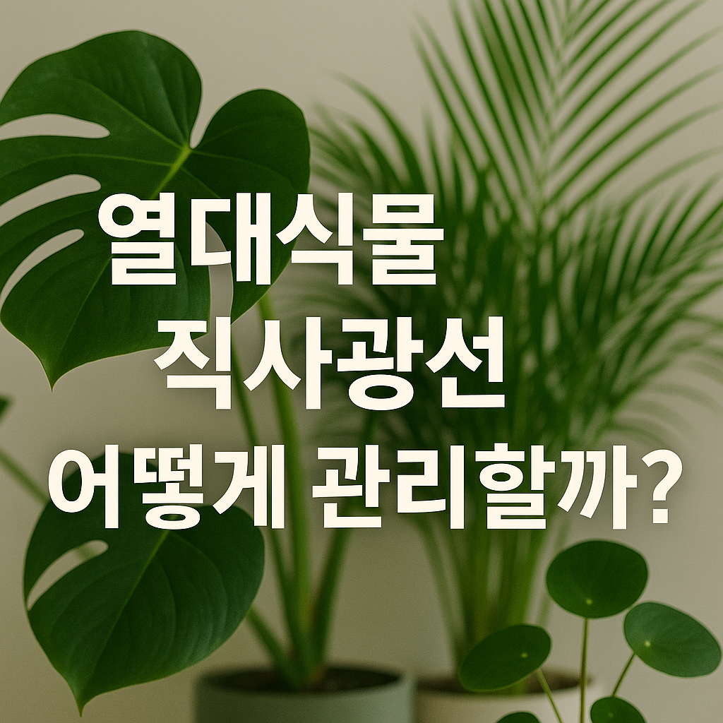 열대식물과 직사광선