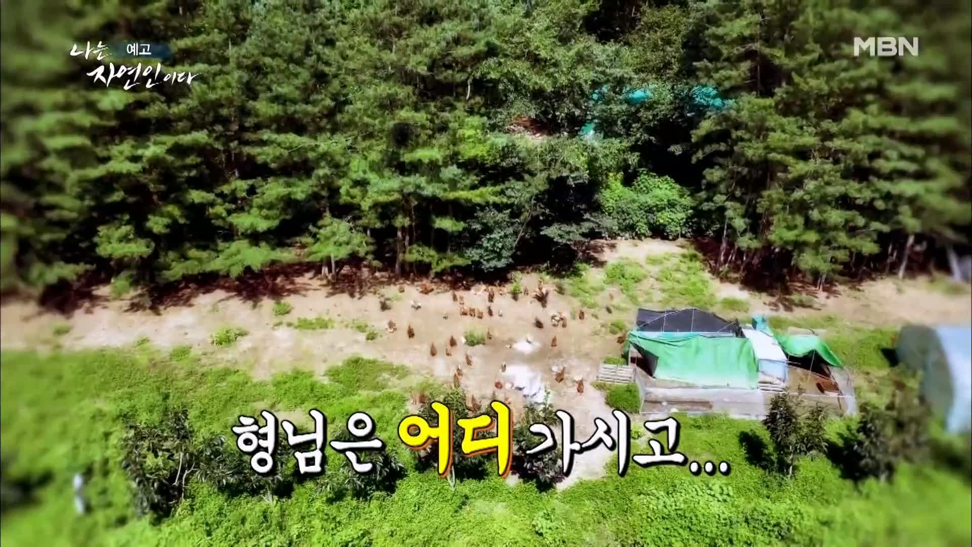 이승윤 윤택 나는 자연인이다 518회 간암 시한부 인생, 경찰 출신 그 후 10년 바보죽 레시피, 식전 녹즙 자연인 강병도 소개 및 출연 다시보기