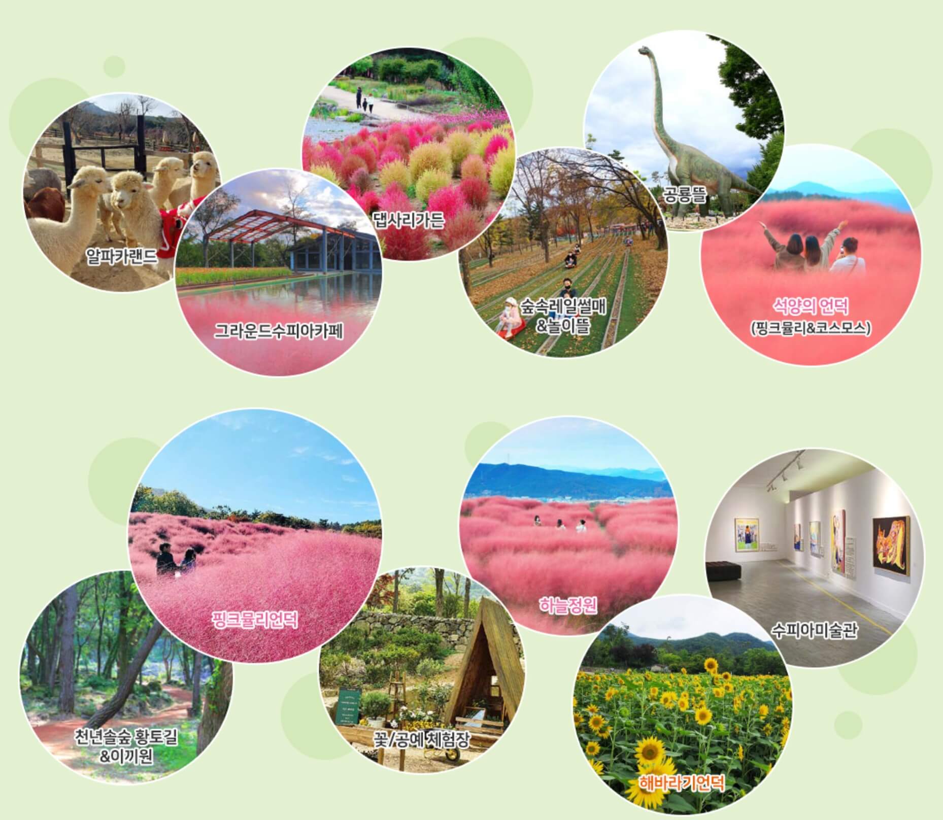 가산수피아 플라워 페스티발