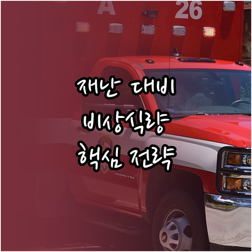 재난 대비, 가족을 지키는 비상식량 ..