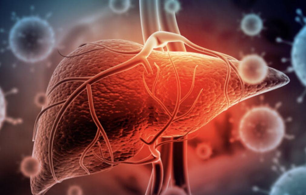 카테킨 효능 부작용 하루 권장량 다이어트 효과