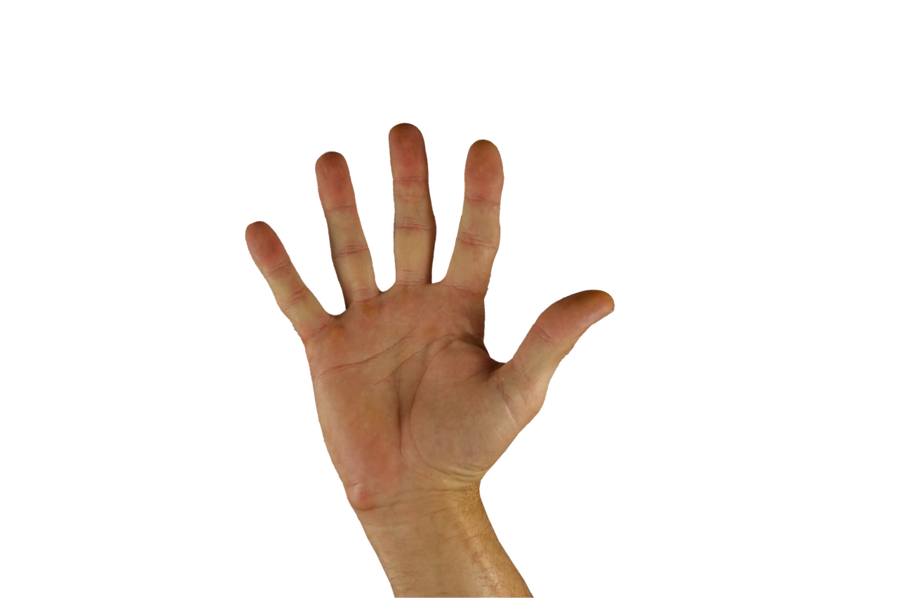 고정비 없이 운영 가능한 무점포 창업 모델 TOP 5 &ndash; 재도전자에게 최적화된 소자본 구조