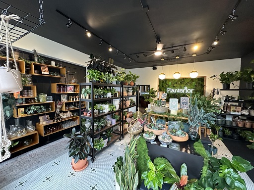 글의 이해를 돕기 위한 식집사 관련 이미지