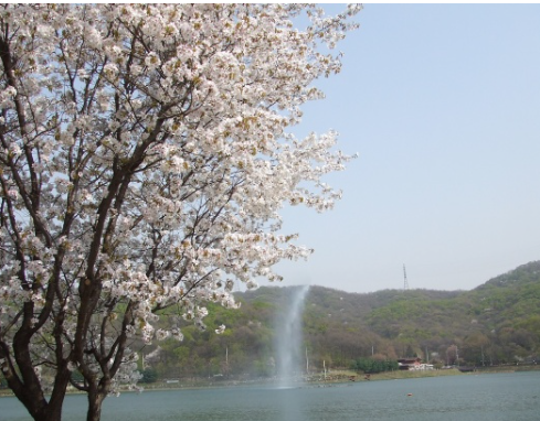 호수