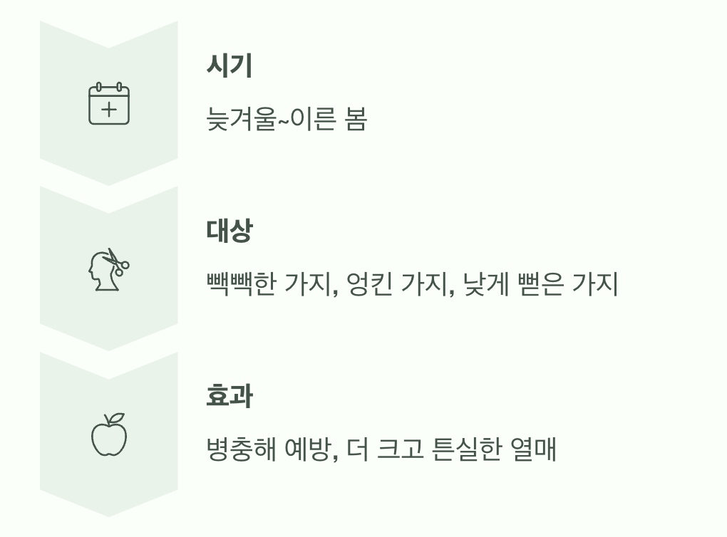 수형을 만드는 마법, 가지치기