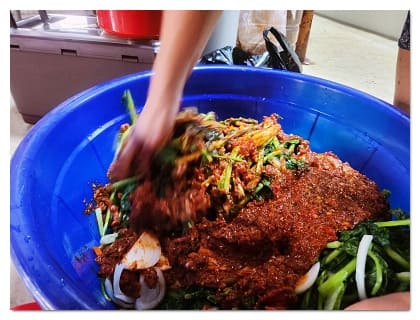 열무버무리기 56