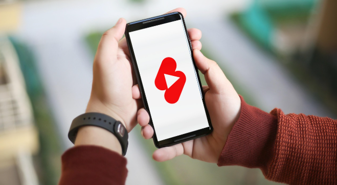 SNS에서 화제가 된 기상천외한 직업&middot;부업 모음