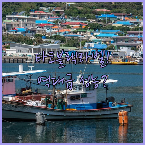 국민 문어대 타코 블랙라벨 포함 베스..
