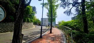 이화여대 멧돼지 출몰 (영상) &amp;#124; 대처 방법 긴급 상황