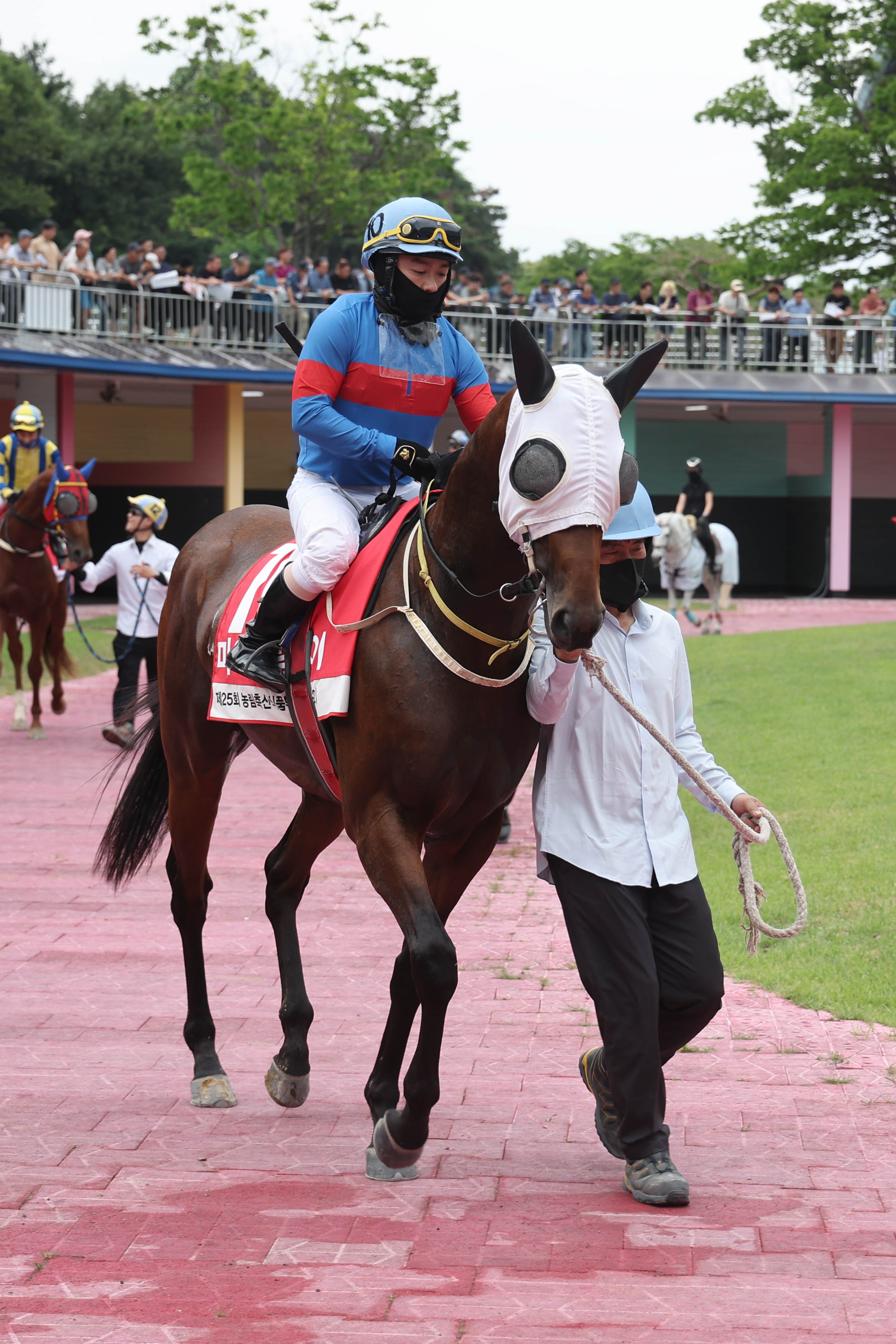 마이드림데이 예시장면