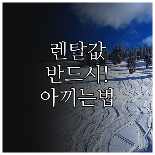 스키장 렌탈 비용 절약법 직영점 사설..