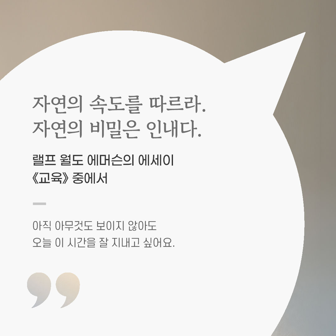 용기를 전하는 가톨릭 말씀 카드, 위로와 힘이 되는 좋은 글