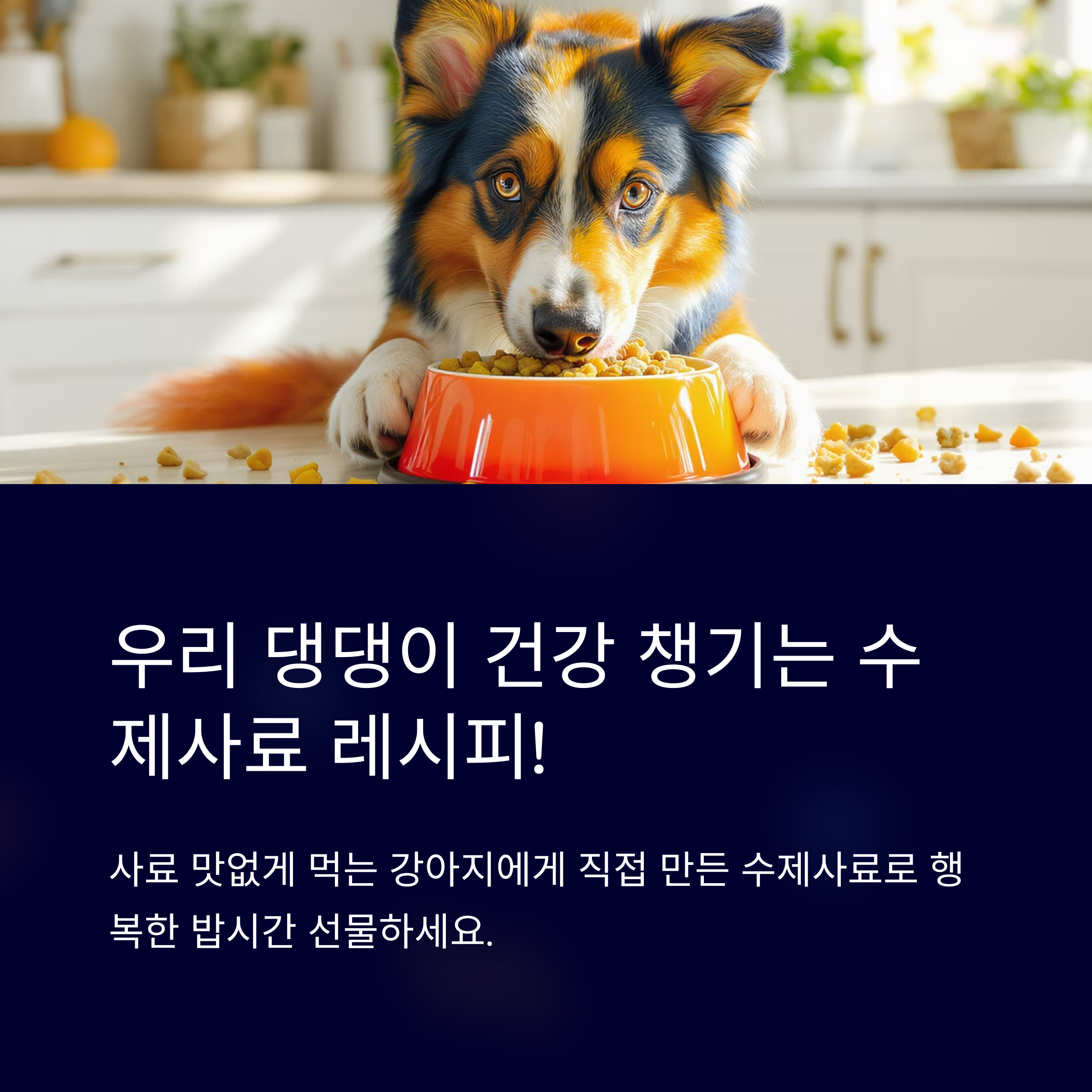강아지 수제사료 레시피로 우리 댕댕이 건강 챙기기!