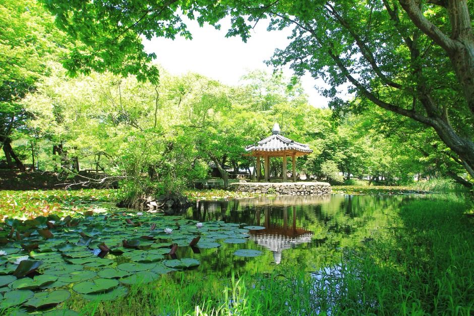 경남 고성 가볼만한곳 베스트10