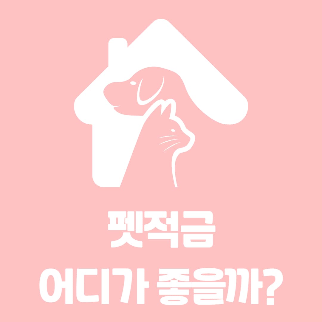 강아지 고양이 반려동물 펫적금 KB, 하나, 부산은행 비교 총정리