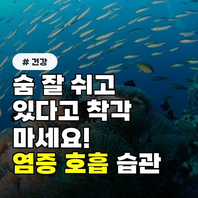 숨 잘 쉬고 있다고 착각 마세요! 염증 키우는 의외의 호흡 습관 4가지