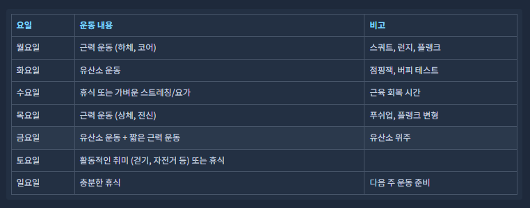 주간 운동 계획 예시