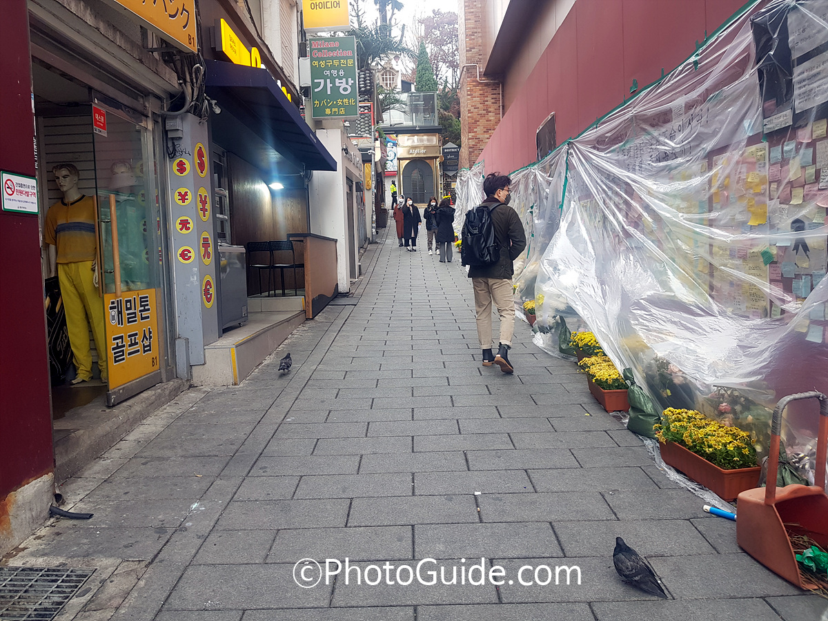 이태원 참사 ⓒPhotoGuide.com KoreaPhoto.kr